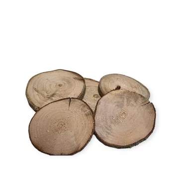 Diófakorong  5-8 cm 5db/cs