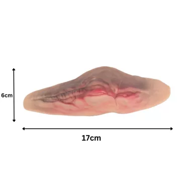 Elvágott torok seb 10ml művérrel készlet