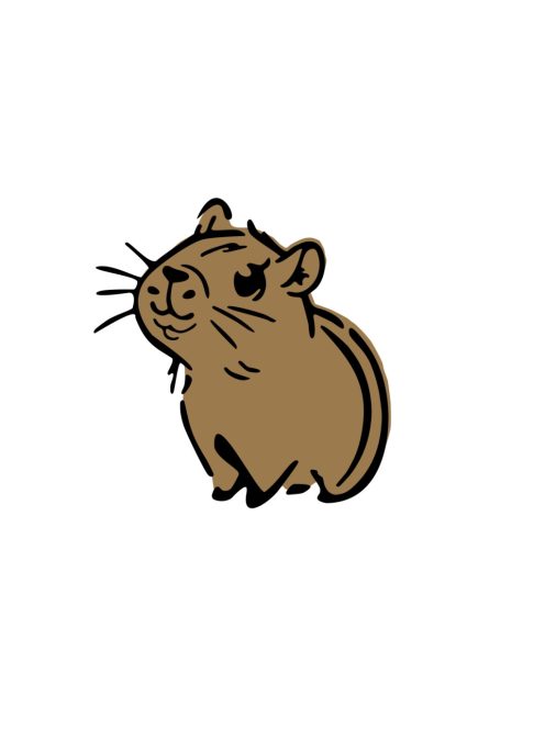 Capybara arcfestő és testfestő sablon / stencil, cuki vízidisznó mintával