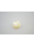 Akril gyöngy kagyló - 10 db/cs, 16x15 mm gyöngy fehér