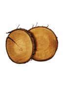 Fa szelet kerek és ovális forma 10 cm