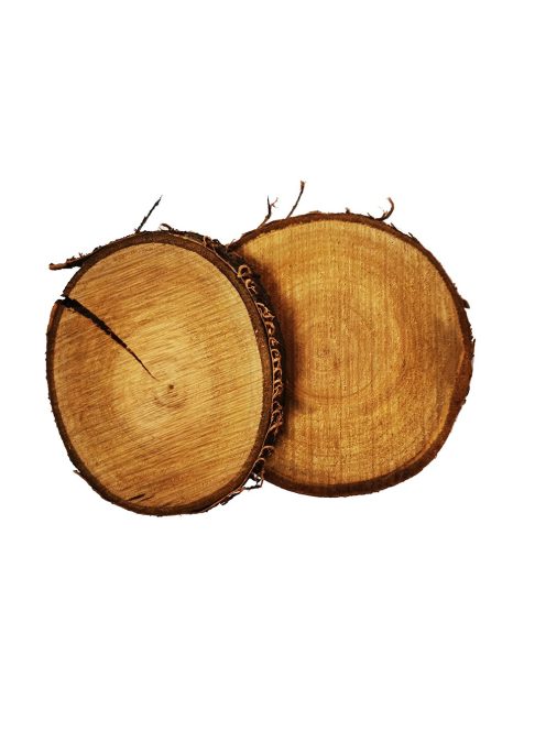 Fa szelet kerek és ovális forma 10 cm