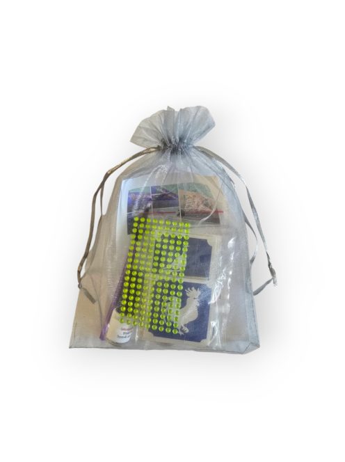 KiviArt állatos csillámtetoválás készlet organza tasakban