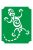 Gekko henna sablon, stencil