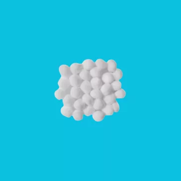 Pompon